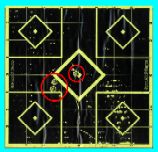 The target
